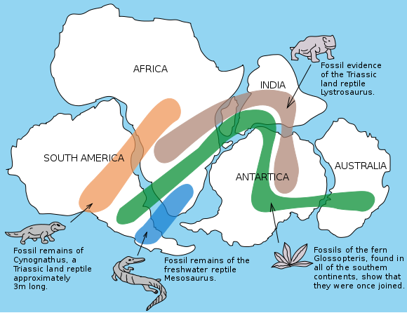Evidence for Continental Drift Theory